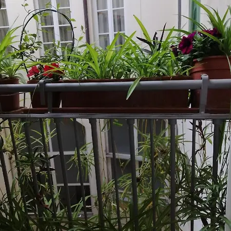 55 M2, 2 Yatak Odalı, 1 Banyolu Daire, Historical Center Bölgesinde * Floransa