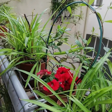 Apartament Pitti Loft Florencja