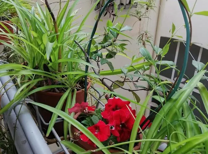 Appartement Pitti Loft Florence