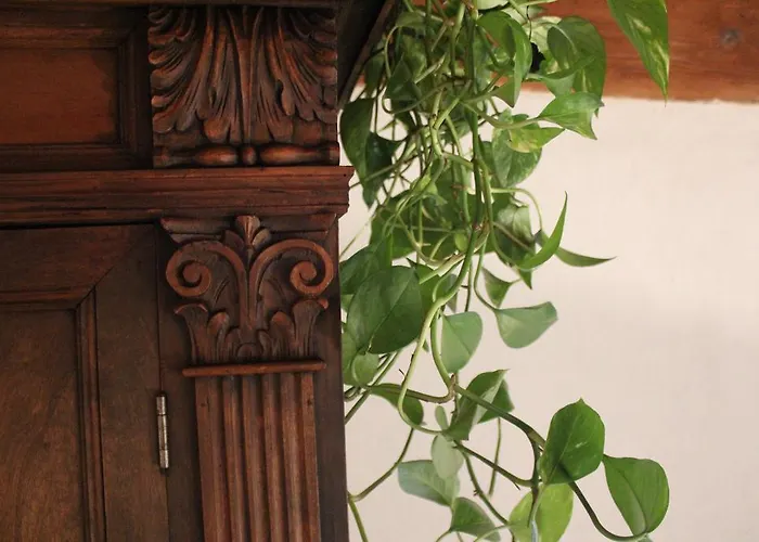 Pitti Loft Appartement *